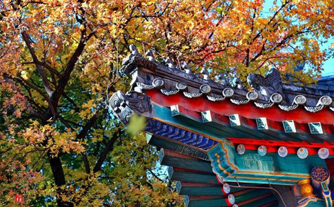 适合清明小长假旅游的地方有哪些?