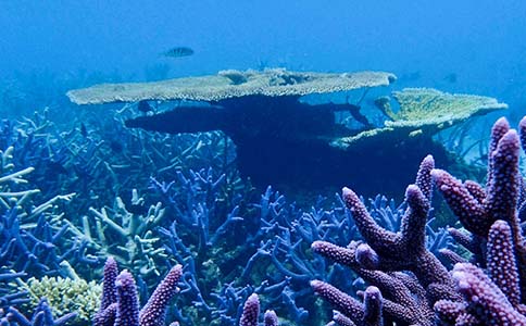 逃离城市喧嚣：最适合放松心情的度假胜地有哪些？