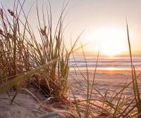 香港都会大学(肇庆)