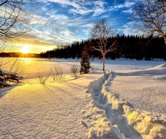 学生签证延期(非IANG 签证)