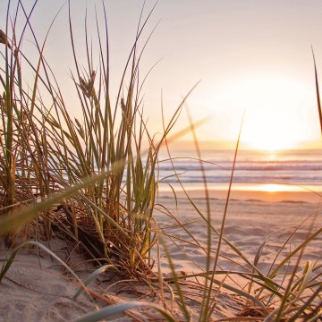 清明节山居特价套餐