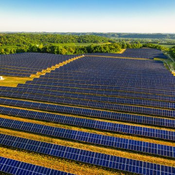 学道*踏青平日票