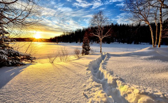 都会环保校友，您好！