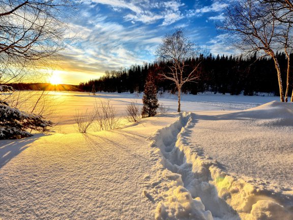 春季班第二学期将于9月4日结束并公布成绩