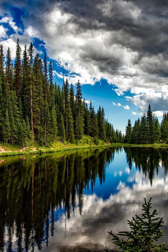 香港公开大学正式更名为香港都会大学